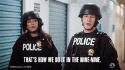 Brooklyn 99 B99 GIF by NBC