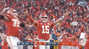 National Football League GIF by NFL
