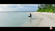 Walk Sharks GIF by Shark Week