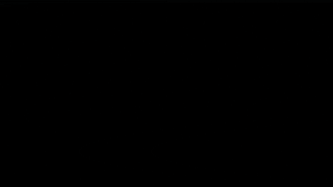 TrineUniversity giphygifmaker trine university trine athletics trineu GIF