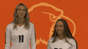 Cnvb21 GIF by Carson-Newman Athletics