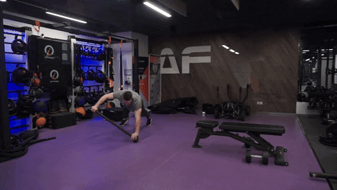 setforset giphyupload GIF