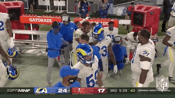 Los Angeles Rams Football GIF by NFL