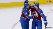 Ice Hockey Sport GIF by NHL