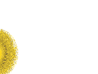 Ucam Murcia Cf Futbol Sticker by UCAM Universidad