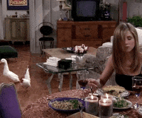 Season 4 Friends Tv Show GIF by Friends