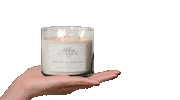 abboocandleco candle abboocandleco abboo candle co Sticker