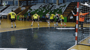 Celebrate Czech Republic GIF by HCB Karviná