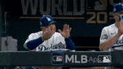 Major League Baseball Sport GIF by MLB