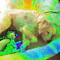 420 GIF by GIPHY CAM