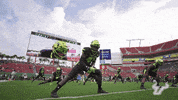 College Football GIF by USF Athletics