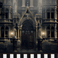 Film Vintage GIF by jorgemariozuleta