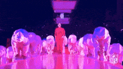 National Football League GIF by NFL