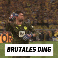 Borussia Dortmund Football GIF by SPORT1