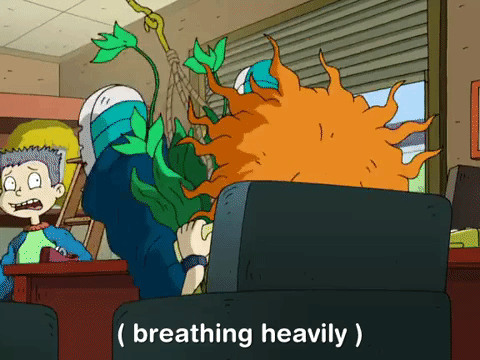 all grown up nicksplat GIF