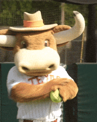 Hookem GIF by Texas Longhorns