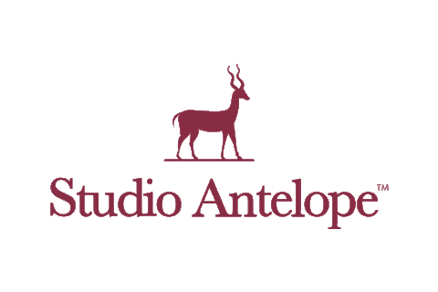 studioantelope giphyupload filmmaker filmproduction itsawrap Sticker