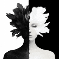 GIF by Runway Magazine