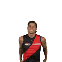 Dons Bombers Sticker by Essendon FC