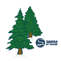 Snowboarding Christmas Tree Sticker by Sierra-at-Tahoe