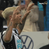 Newcastle United Sport GIF by Newcastle United Football Club
