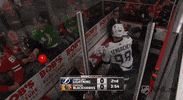 angry ice hockey GIF by NHL