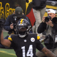 Excited Celebration GIF by Pittsburgh Steelers