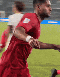 Bangladesh Football GIF