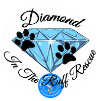 Ditrr Sticker by Diamond In The Ruff Rescue