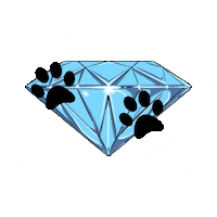 Ditrr Sticker by Diamond In The Ruff Rescue