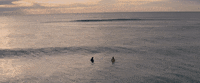 Byron Bay Surfing GIF by Madman Films