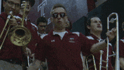 Temple Football Tu GIF by Temple Owls