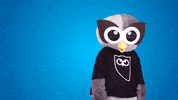 Creating Big Idea GIF by Hootsuite