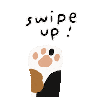 Cat Swipe Up Sticker