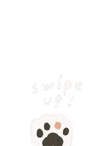 Cat Swipe Up Sticker