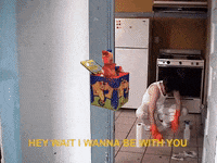 rohmontgomery rick rickymontgomery paper towel papertowel GIF