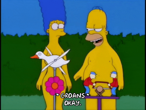 Episode 17 Lawn GIF by The Simpsons