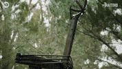 Challenge Catapult GIF by The Traitors Australia
