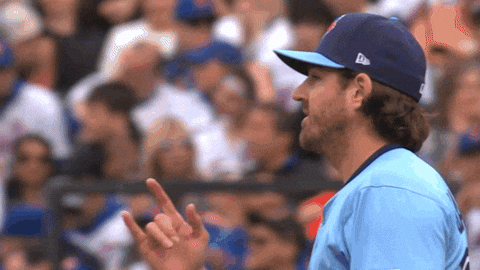 Blue Jays Baseball GIF by Toronto Blue Jays