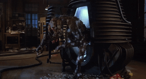 the fly GIF
