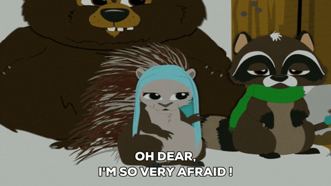 bear raccoon GIF by South Park 