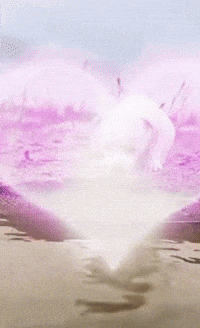 Dog Fish GIF