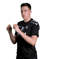 hattrick-brno sport floorball salibandy innebandy Sticker