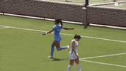 University Of North Carolina Hug GIF by UNC Tar Heels