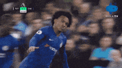 Happy Celebration GIF by MolaTV
