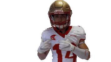 Nfl Celebration Sticker by Les Argonautes Aix