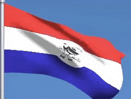 vanlianceu thantar chinflag chinthantar GIF