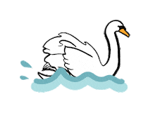 Swan Lake Sticker by Furman University