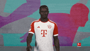 No Way Football GIF by Bundesliga