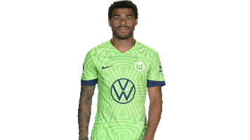 Oh No Football Sticker by VfL Wolfsburg